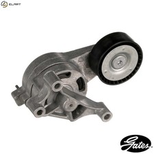 BELT TENSIONER VRIBBED BELT