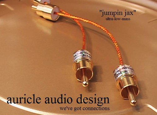 Auricle audio design - auricle,