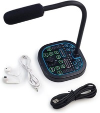 Flylin Microphone Voice
