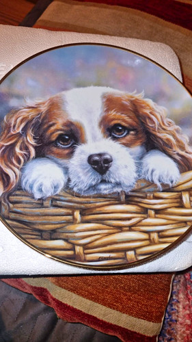 Danbury mint take home - danbury,
