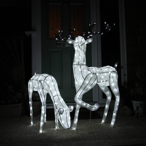 Large light stag doe - stag, &