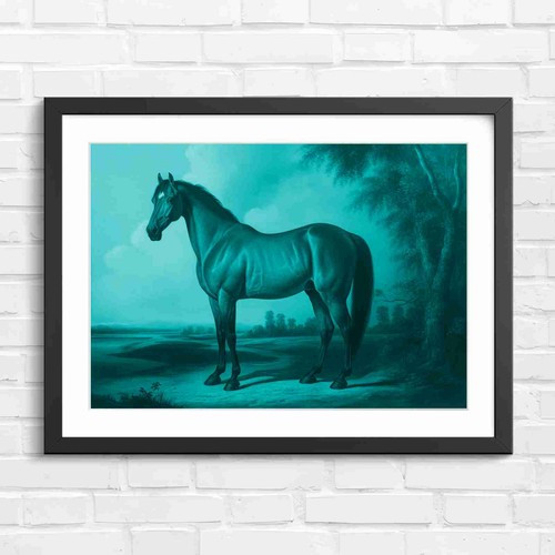 Classic brown horse - brown, standing
