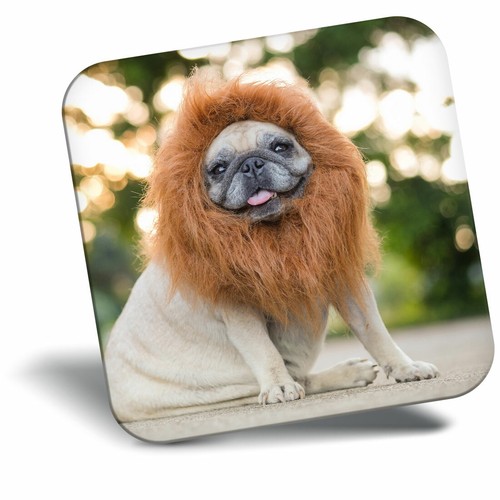 Awesome fridge magnet - fridge, cute