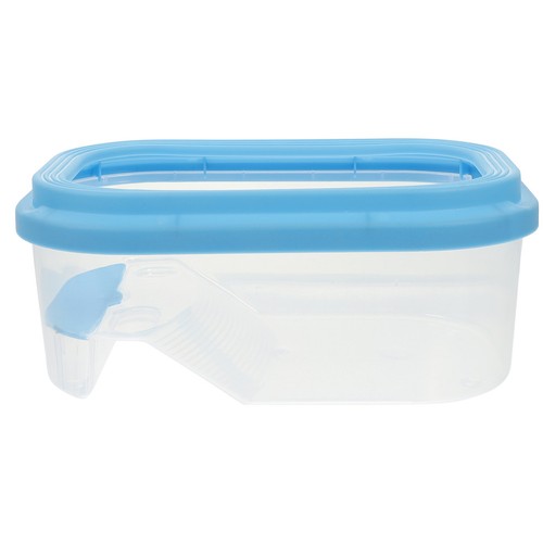 Plastic turtle container - plastic,