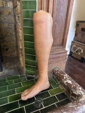 Prosthetic Women’s Leg Below