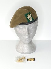 Mercian Regiment Beret, Badges