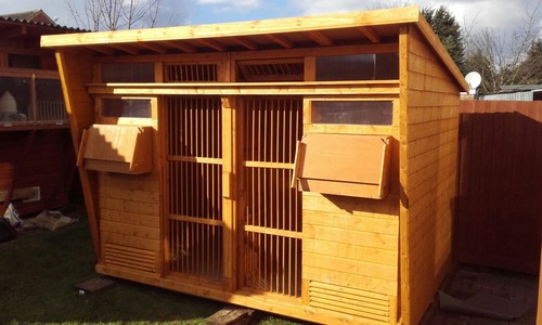 Pigeon loft with ets - loft,