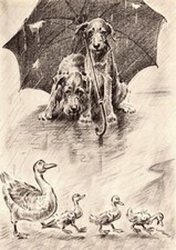 IRISH TERRIER TWO DOGS & DUCKS