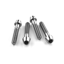 Aprillia RSVR Factory 04-10