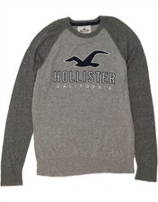 HOLLISTER Mens Graphic Crew Neck Jumper Sweater Medium Grey Cotton CK05