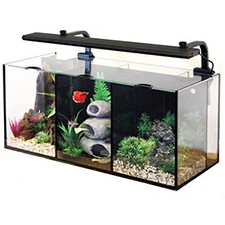 Aqua one betta trio glass - one,