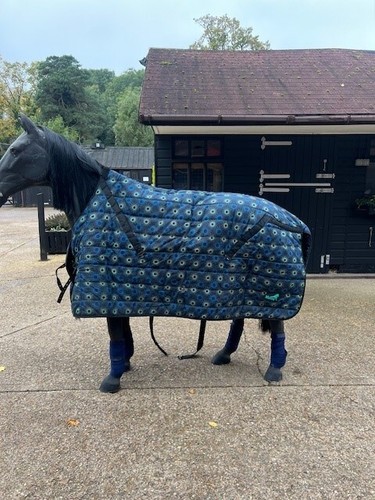 Masta mediumweight stable - , rug