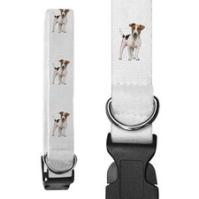 Large 'Jack Russell' Dog Collar (PR00012716)