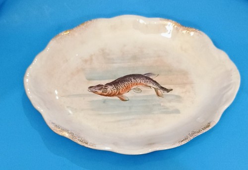 Antique vtg ironstone - ironstone, deep