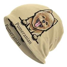 Pomeranian Dog Warm Beanie Hat