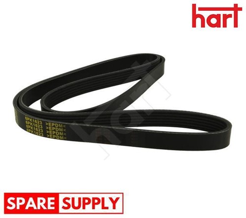 Ribbed belt for volvo 850 - v-ribbed,