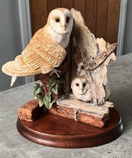 BARN OWL AND CHICKS by BORDER
