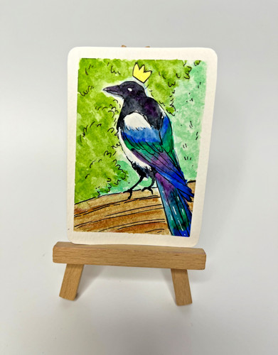 Aceo magpie watercolour - aceo,
