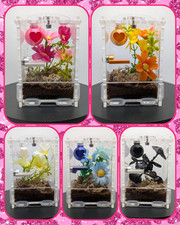 Jumping Spider Sling Enclosure Full Set Ups Front Opening 6x6x9cm House Pet