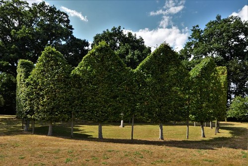 Photo long melford - photo,