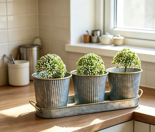 Dipamkar windowsill herb - windowsill,