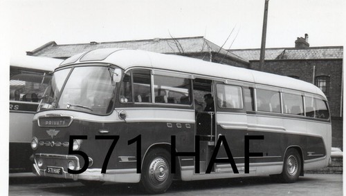 Hambly pelynt 571haf - hambly,