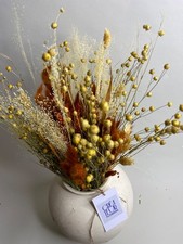 Dried Flower Wildflower