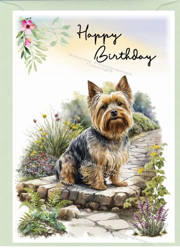Yorkshire terrier yorkie a6 - /,
