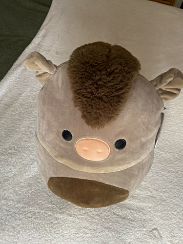 Squishmallows oden pig plush - pig,