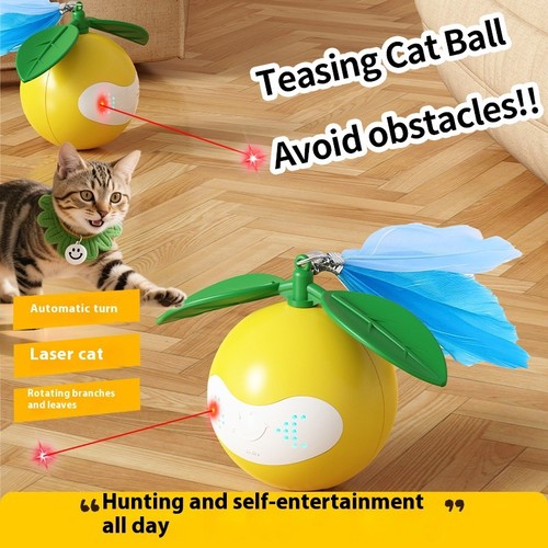 Dog cat toy - dog,
