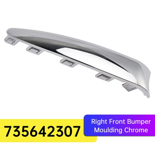 Right front bumper moulding - right,