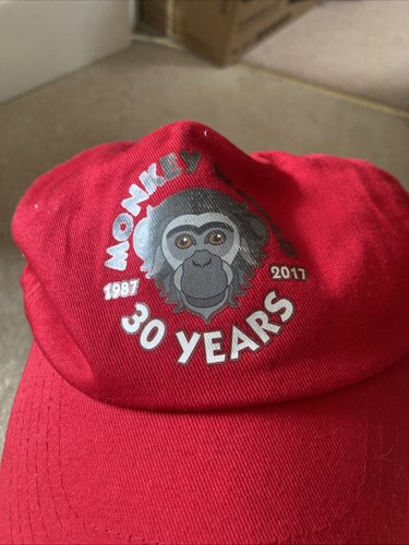 Child monkey world - child’s, cap