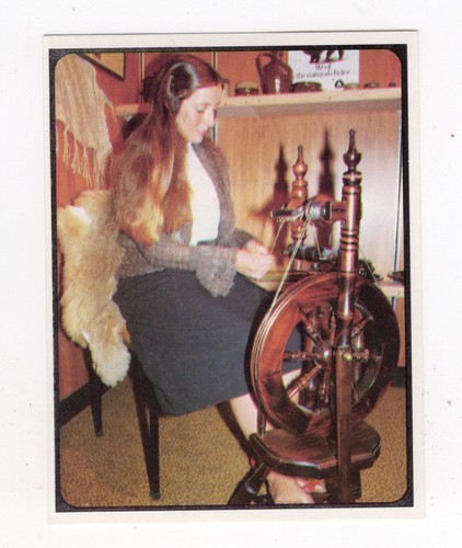 Sanitarium wool card - card, a