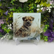 Border Terrier Glass Square