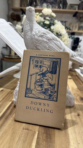 Downy duckling a ladybird - a,