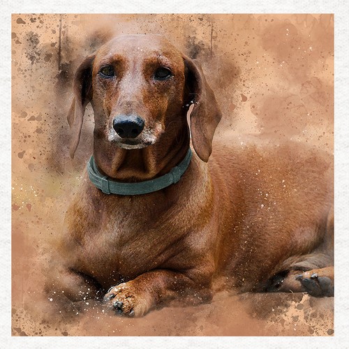 Dog dachshund brown fabric - brown,