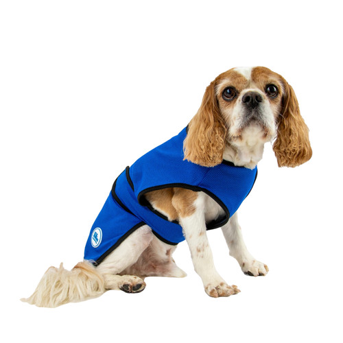 Ancol cooling dog - cooling,