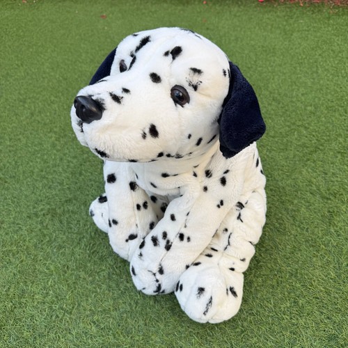 Animal alley dalmatian dog - alley,