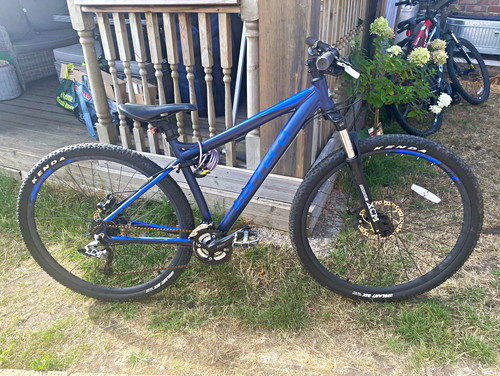 Carrera hellcat 29in mountain - hellcat,