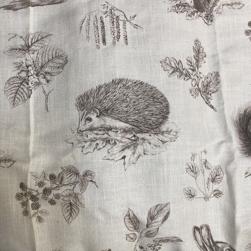Sanderson woodland squirrel - squirrel, &