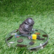 Belemnite phragmocone Yorkshire fossil