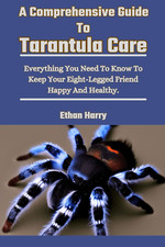 A Comprehensive Guide to