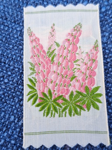 Kensitas wix flowers - kensitas,