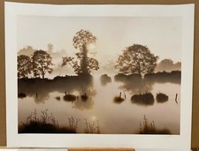 John Waterhouse - Reflections