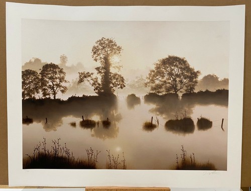 John waterhouse reflections - john,