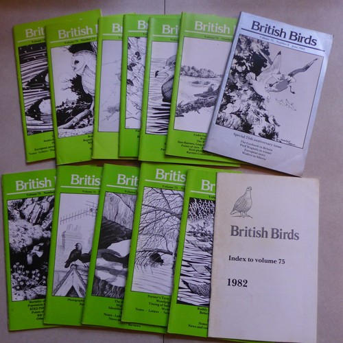 British birds magazines - birds,