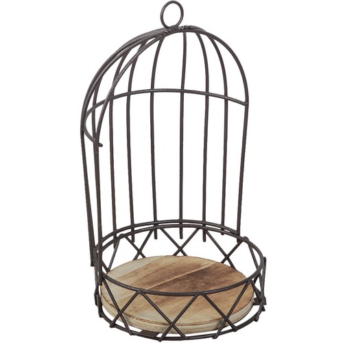 Decorative cage bird - bird, flower