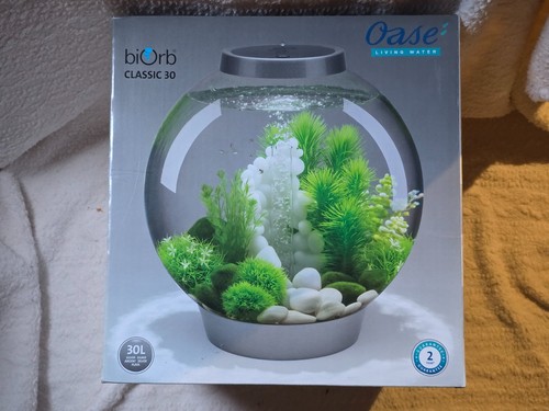 Biorb 30l aquarium fish - fish, tank
