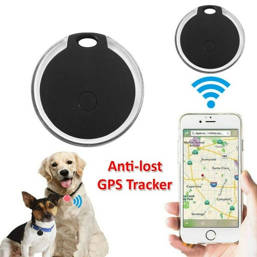 Pet dog cat - dog, gps