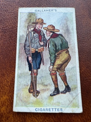 Gallaher cigarette card boy - gallaher, card,